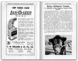 1955 Page 48 49